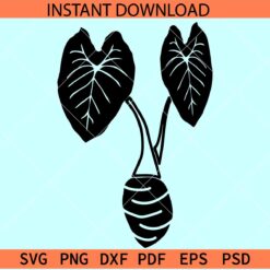 Taro Plant SVG, Black Taro Plant SVG, Taro Plant vector SVG