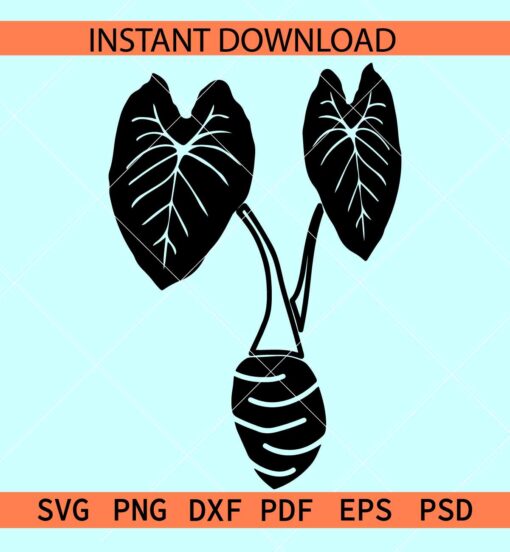 Taro Plant SVG, Black Taro Plant SVG, Taro Plant vector SVG