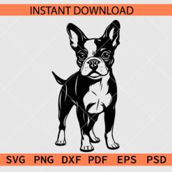 Boston Terrier Dog Standing Silhouette SVG