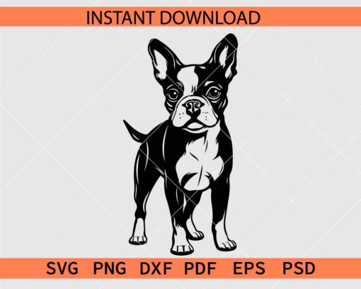 Boston Terrier Dog Standing Silhouette SVG
