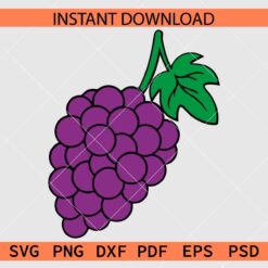 Branch of Grapes Décor SVG, Grapes with leaves Illustration SVG
