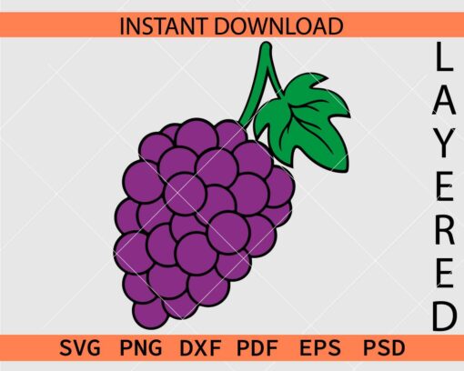 Branch of Grapes Décor SVG, Grapes with leaves Illustration SVG