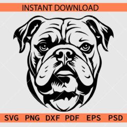 Bull dog Head Vector SVG, Bull dog Head Stencil SVG