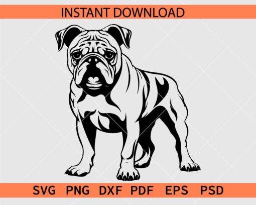 Bulldog Standing Vector SVG, Bulldog Standing Stencil SVG