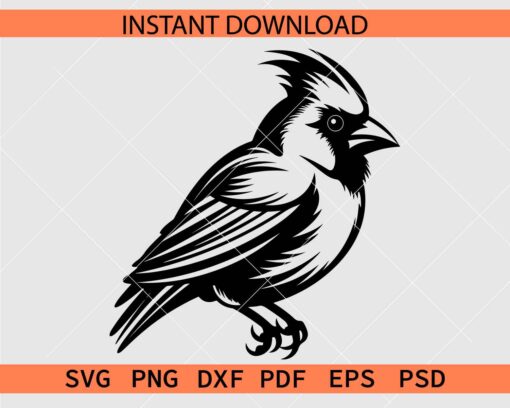 Cardinal Bird Vector SVG, Cardinal Bird Stencil SVG