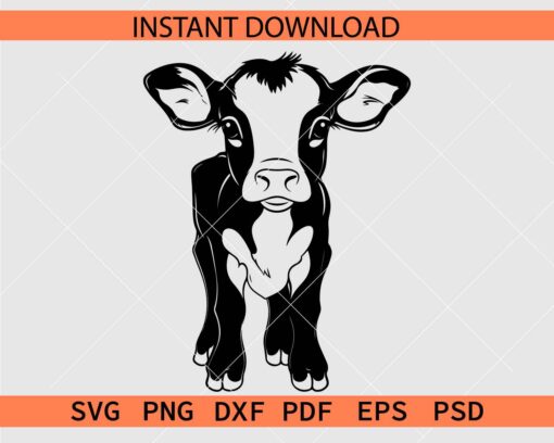 Cute Baby Cow Drawing SVG, Cute Calf Stencil SVG