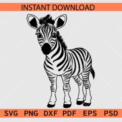 Cute Baby Zebra Drawing SVG, Cute Baby Zebra  Sketch SVG