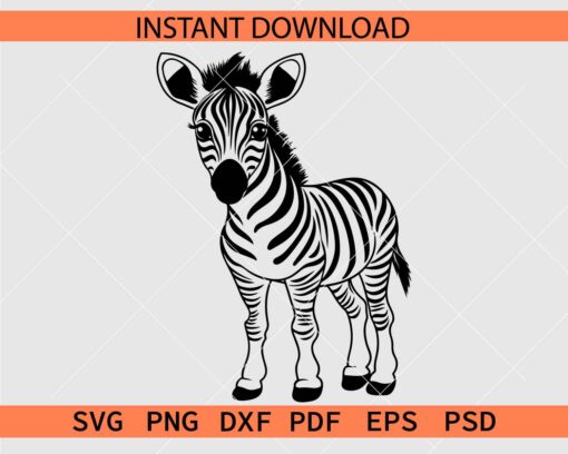 Cute Baby Zebra Drawing SVG, Cute Baby Zebra  Sketch SVG