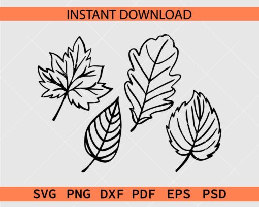 Fall Leaves Vector SVG, Fall Leaves Clipart SVG, Fall Leaves Illustration SVG, Fall Leaves Drawing SVG