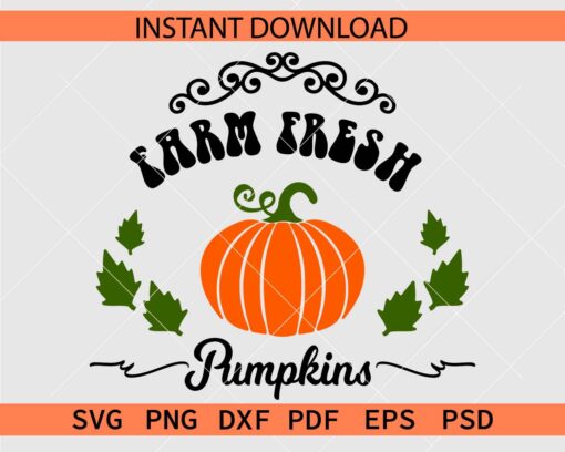 Farm Fresh Pumpkin with fall leaves SVG, Pumpkin Harvesting Season Décor SVG