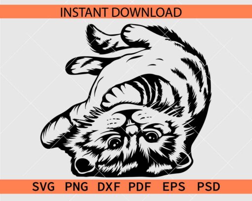 Funny Cat lying on the back Stencil SVG, Kitten lying on the back Décor SVG