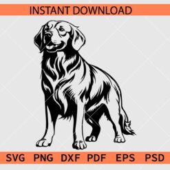 Golden Retriever standing SVG, Golden Retriever Dog Breed Décor SVG