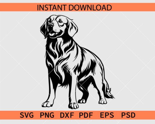 Golden Retriever standing SVG, Golden Retriever Dog Breed Décor SVG