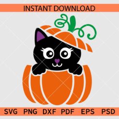 Halloween Cat in Pumpkin Vector SVG, Peeking Halloween cat on Pumpkin Clipart SVG