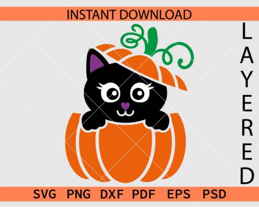 Halloween Cat in Pumpkin Vector SVG, Peeking Halloween cat on Pumpkin Clipart SVG