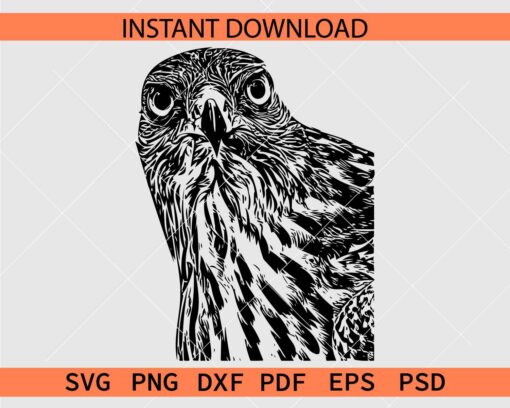 Peeking Eagle Silhouette SVG, Eagle Peeking Silhouette SVG