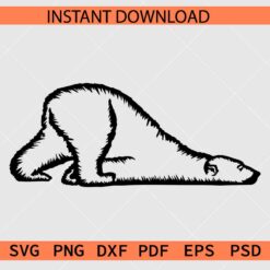 Polar Bear Coloring Page SVG