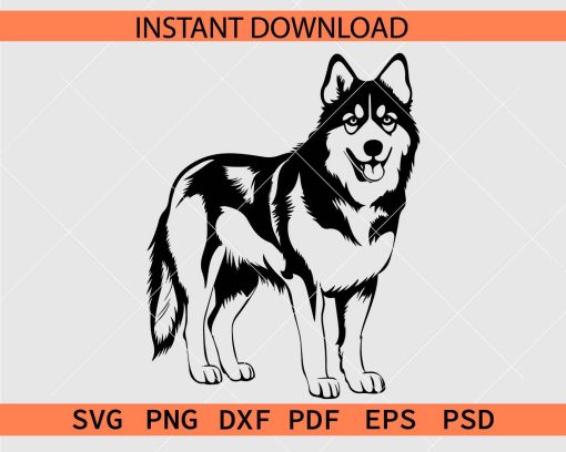 Standing Siberian Husky Stencil SVG, Siberian Husky Dog Breed Silhouette SVG