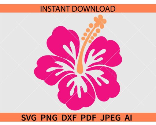 Hibiscus SVG, Hibiscus Flower SVG, Colored Hibiscus SVG
