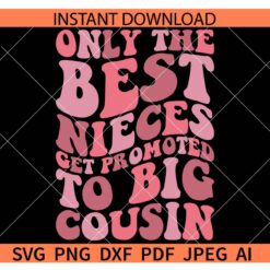 Only The Best Nieces Get Promoted To Big Cousin SVG