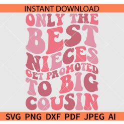 Only The Best Nieces Get Promoted To Big Cousin SVG