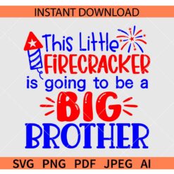 This Little Firecracker Is Going To Be A Big Brother SVG