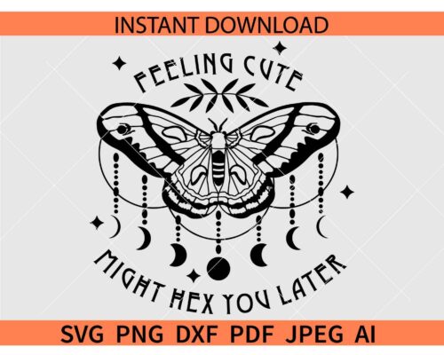 Feeling cute might hex you later butterfly SVG