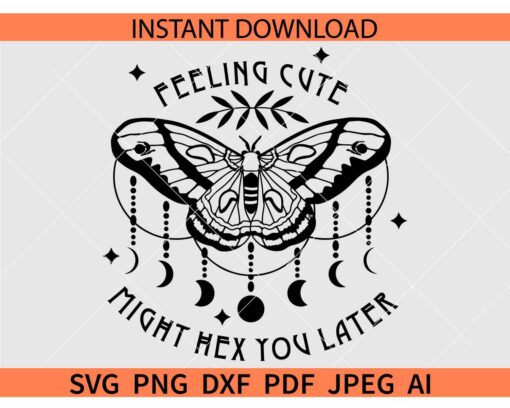 Feeling cute might hex you later butterfly SVG