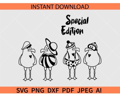 Seagulls Sketch SVG, Special Edition Seagulls Cartoon SVG, Seagulls Family SVG