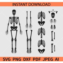 Skeleton Parts SVG, Halloween Skeleton Parts SVG, Dismantled Skeleton SVG