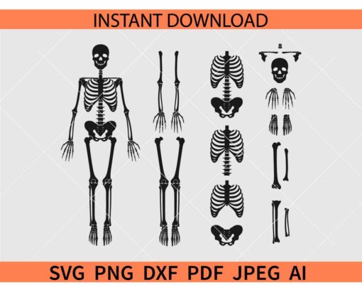 Skeleton Parts SVG, Halloween Skeleton Parts SVG, Dismantled Skeleton SVG
