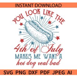 You Look Like the 4th of July makes me want a hot dog real bad SVG, July 4th Hotdog SVG