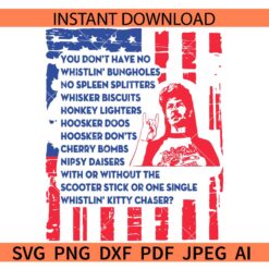 Joe dirt American flag SVG, American Flag Joe Dirt Quote SVG,  You don't have no SVG,  USA 4th of July Joe dirt SVG