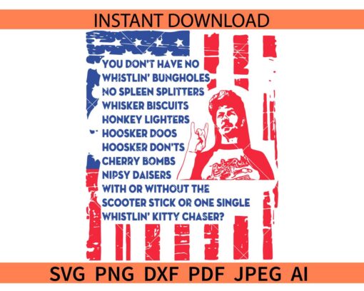 Joe dirt American flag SVG, American Flag Joe Dirt Quote SVG,  You don't have no SVG,  USA 4th of July Joe dirt SVG