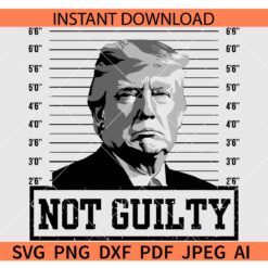 Not guilty Trump SVG, President Trump SVG, Elected US President SVG
