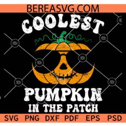 Coolest Pumpkin In The Patch svg, Halloween Pumpkin with glasses svg, Baby Halloween svg