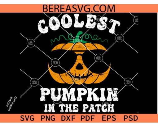 Coolest Pumpkin In The Patch svg, Halloween Pumpkin with glasses svg, Baby Halloween svg